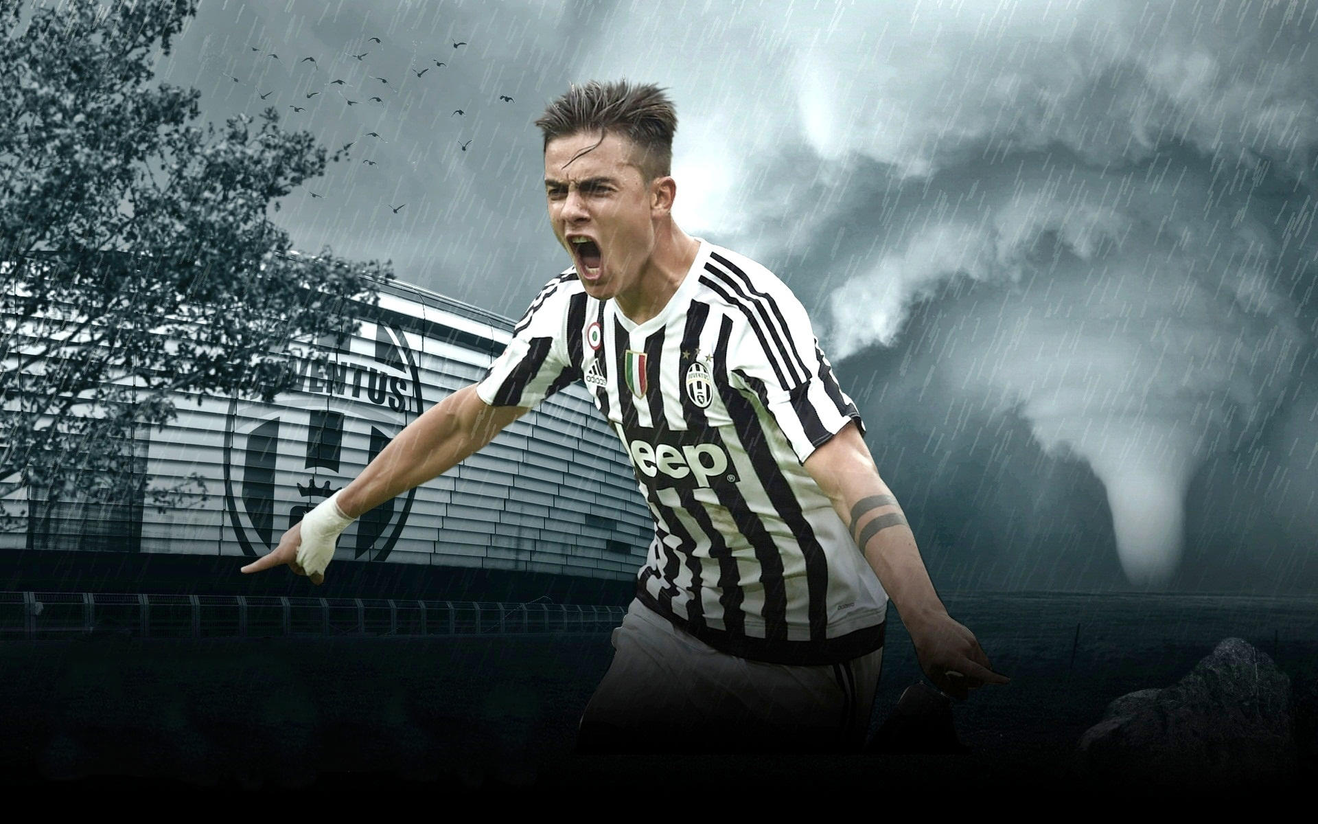 嗯？佛罗伦萨主帅：成绩并不能反映球队真实水平（佛罗伦萨主帅：战绩不代表球队真实实力）